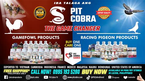 PIT COBRA Gamefowl and Racing Pigeon CoBraders! ️.